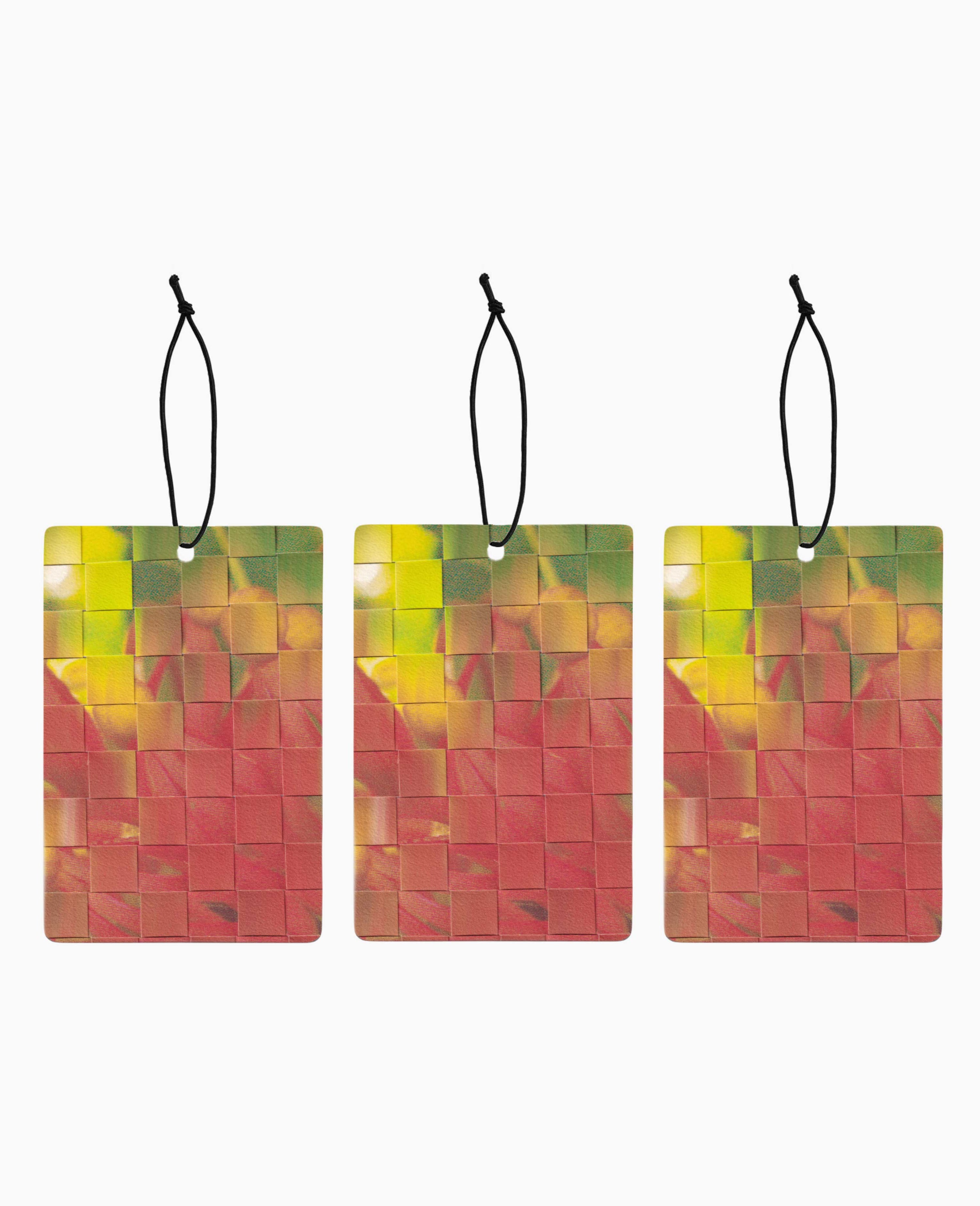 V.8 Abundance luxury car air freshener set of 3 — Map of the Heart × Muck Floral