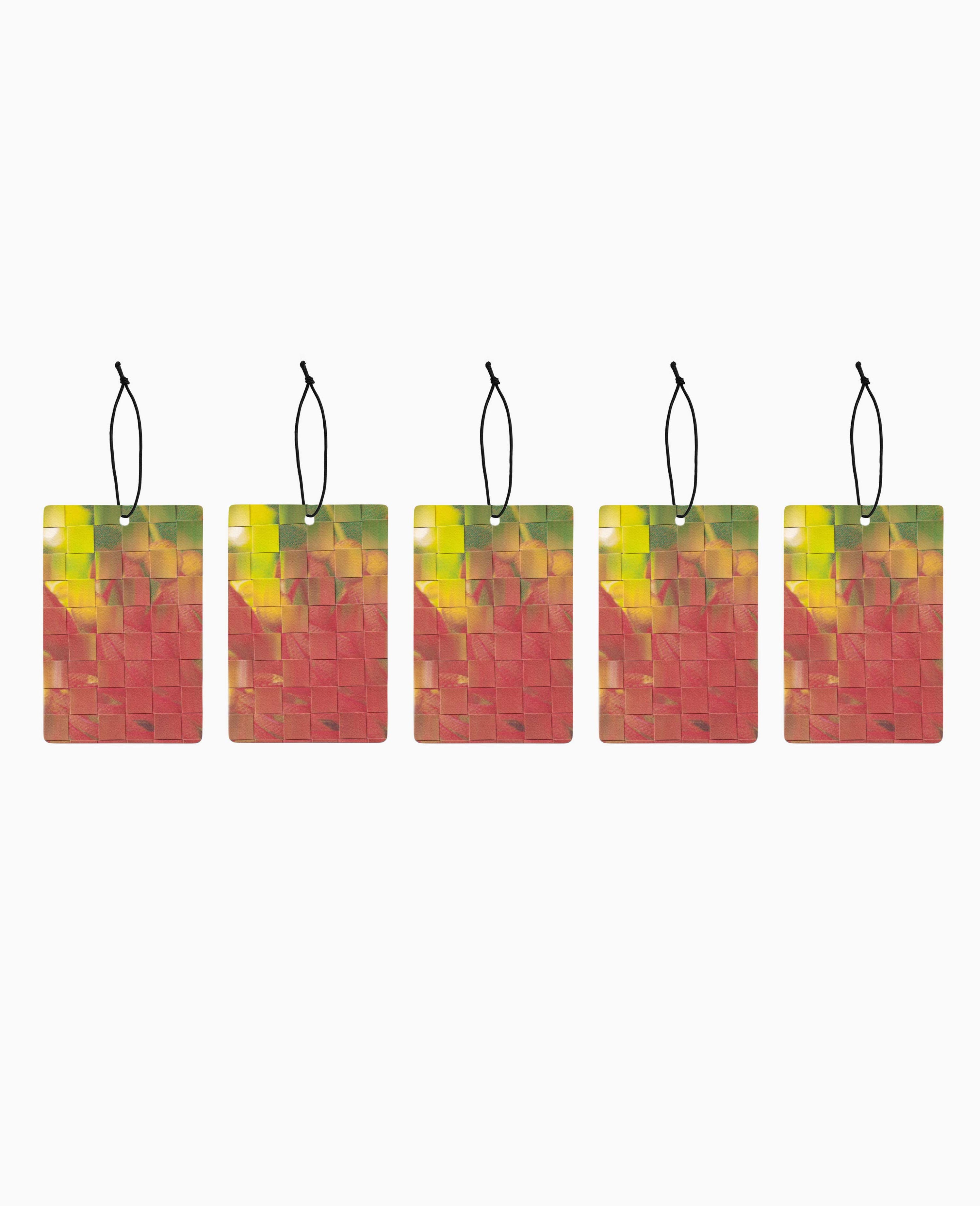 V.8 Abundance luxury car air freshener set of 5 — Map of the Heart × Muck Floral

