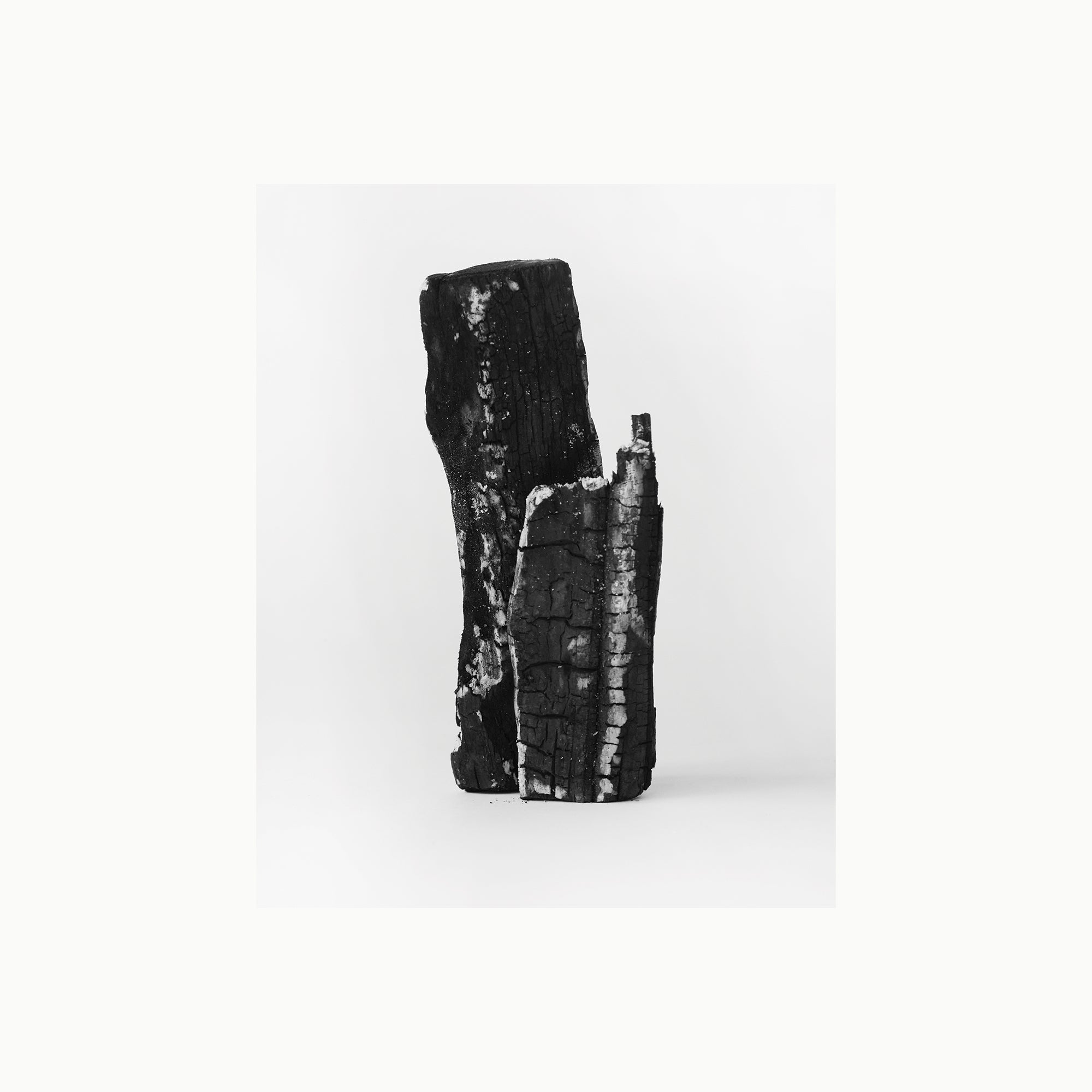 Map of the Heart V.2 Darkness Ingredients Photo black and white burnt wood still life on grey background